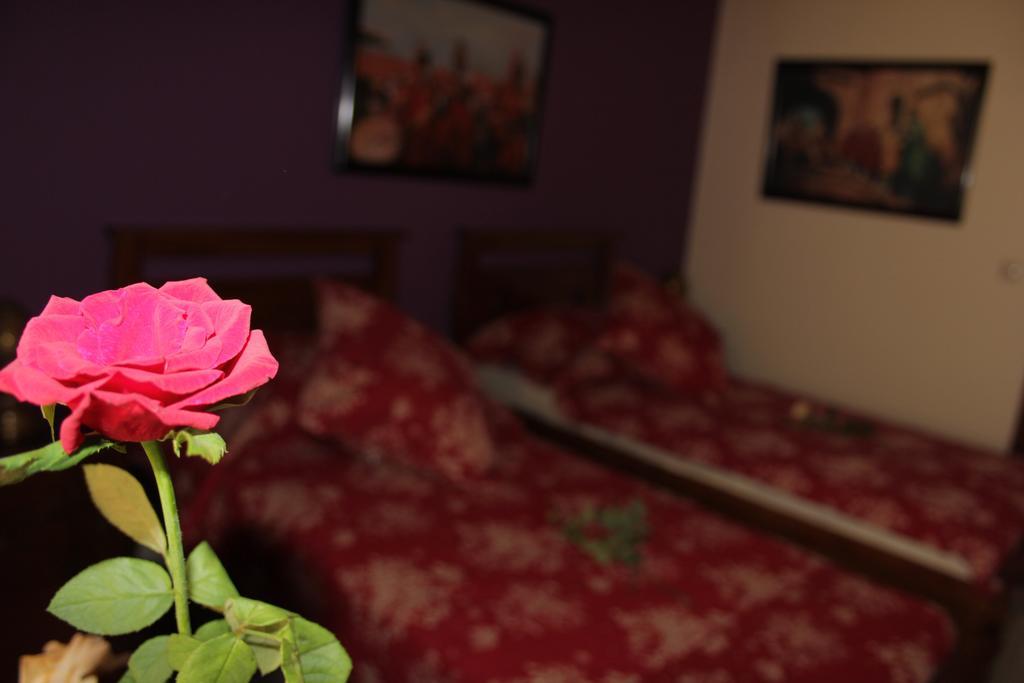 פס Riad Mimosa מראה חיצוני תמונה